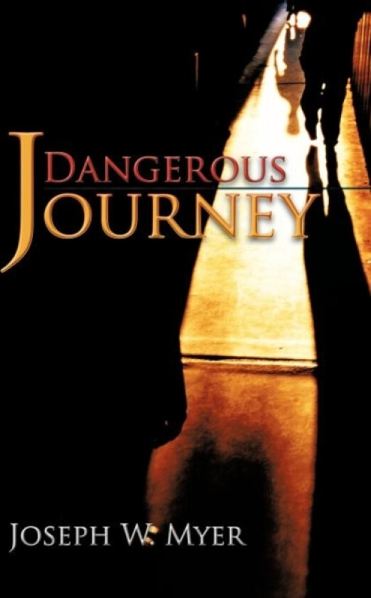 Dangerous Journey av Joseph W Myer (Paperback)