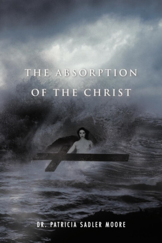 The Absorption of the Christ av Dr Patricia Sadler Moore (Paperback)