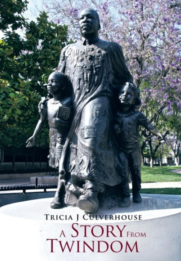 A Story from Twindom av Tricia J Culverhouse (Hardcover)