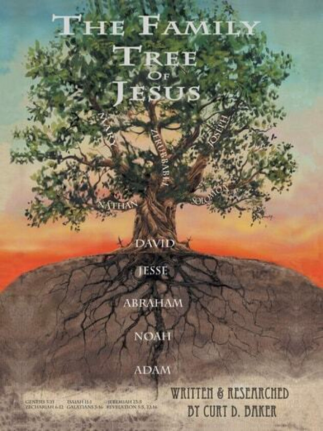 The Family Tree of Jesus av Curt D Baker (Paperback)
