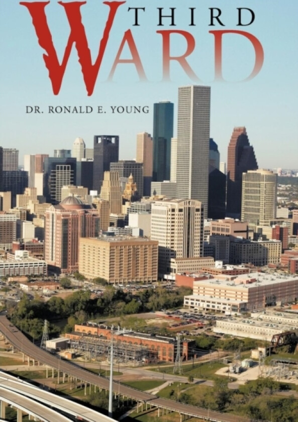 Third Ward av Dr Ronald E Young (Paperback)