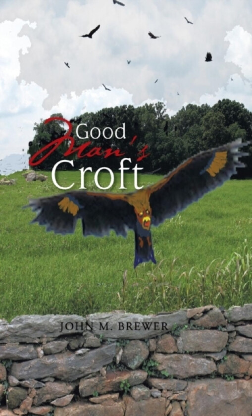Good Man's Croft av John M Brewer (Hardcover)