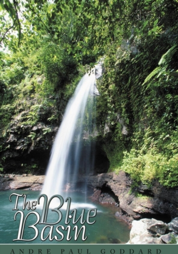 The Blue Basin av Andre Paul Goddard (Hardcover)