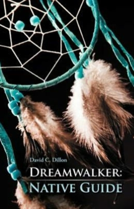 Dreamwalker av David C Dillon (Paperback)