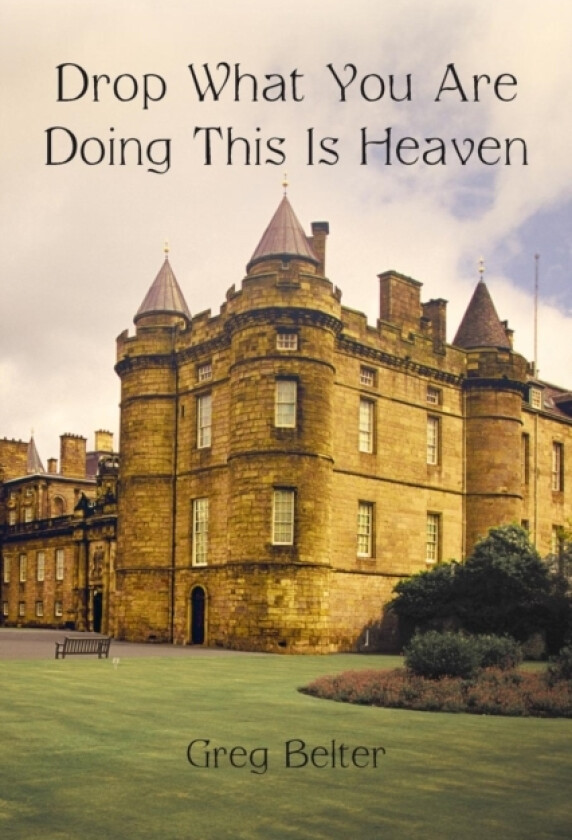 Drop What You Are Doing This Is Heaven av Greg Belter (Paperback)