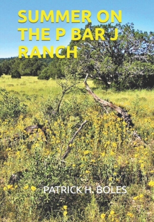 Summer on the P Bar J Ranch av Patrick H Boles (Paperback)