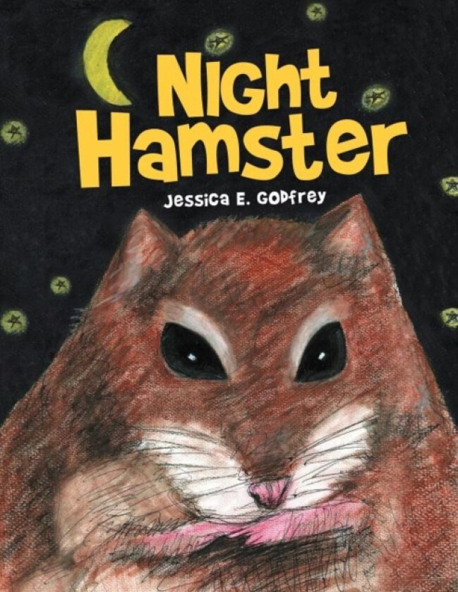 Night Hamster av Jessica E Godfrey (Paperback)
