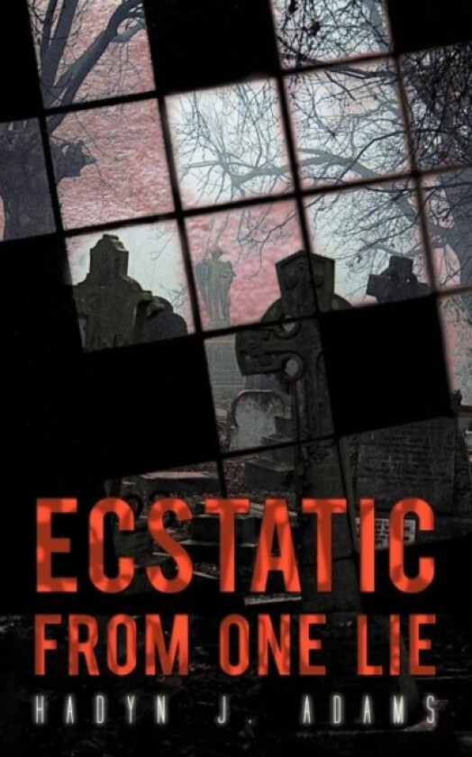 Ecstatic From One Lie av Hadyn J. Adams (Paperback)