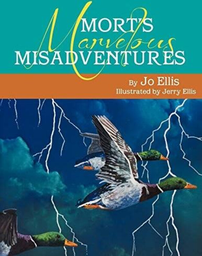 Mort's Marvelous Misadventures av Jo Ellis (Paperback)