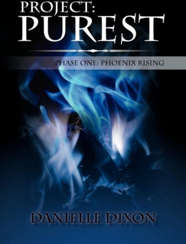 Project av Danielle Dixon (Paperback)