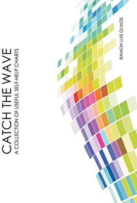 Catch The Wave av Ramon Luis Olmos (Paperback)