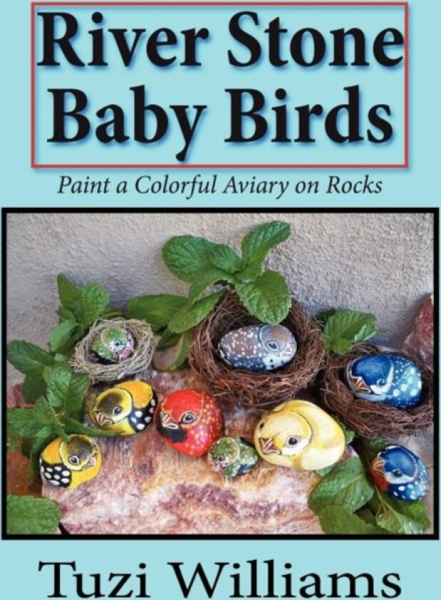 River Stone Baby Birds av Williams Tuzi Williams (Paperback)