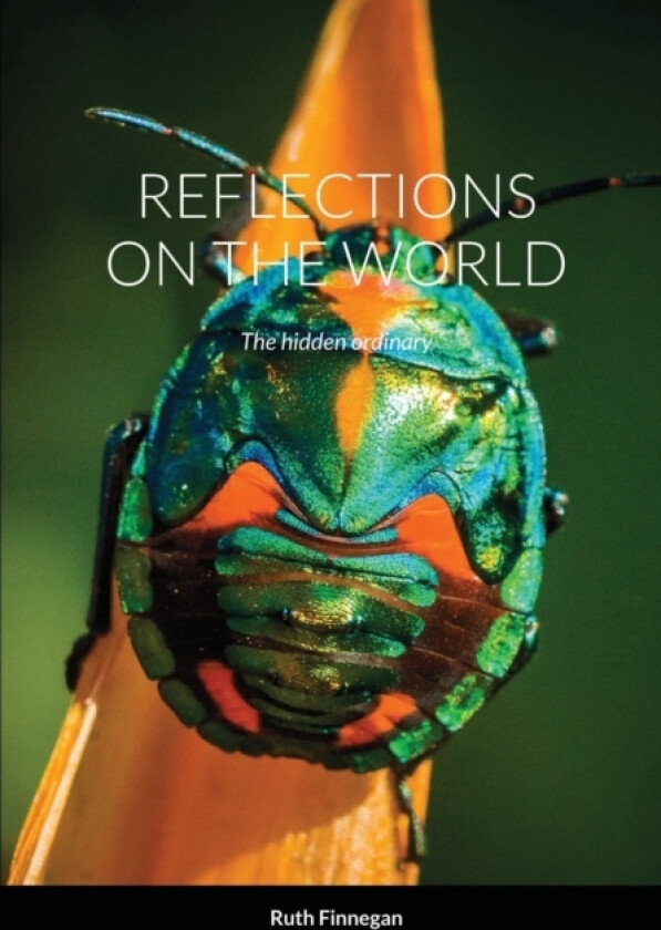 Reflections on the World av Ruth Finnegan (Paperback)