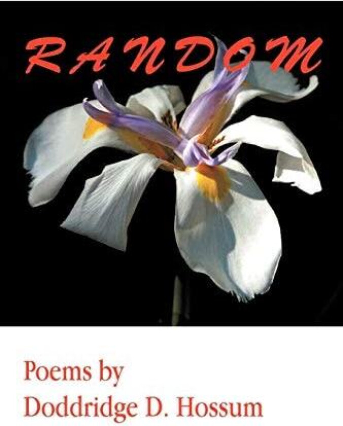 Random av Doddridge D. Hossum (Paperback)
