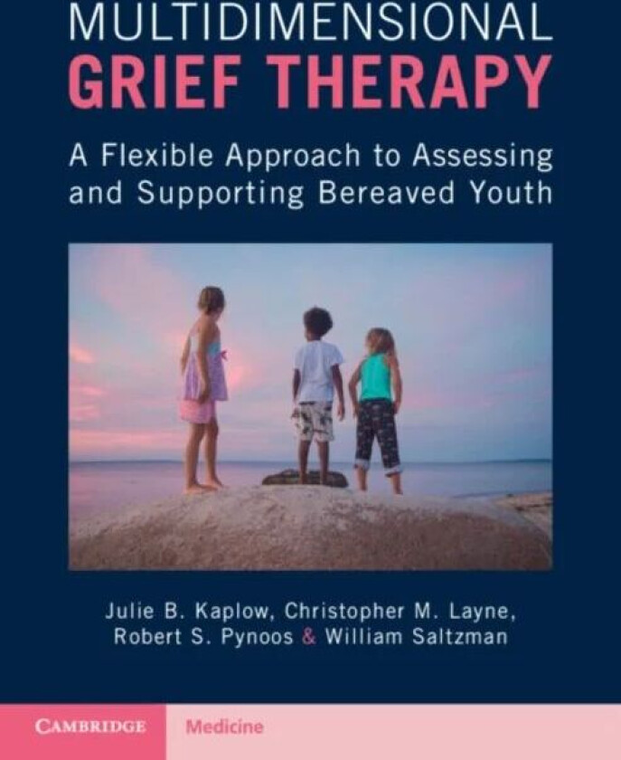 Multidimensional Grief Therapy av Julie B. (Tulane University School of Medicine Louisiana) Kaplow, Christopher M. (Nova Southeastern University Flori