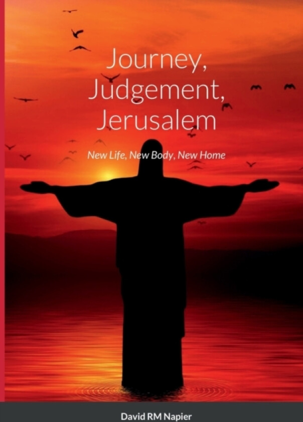 Journey, Judgement, Jerusalem av David Napier (Paperback)