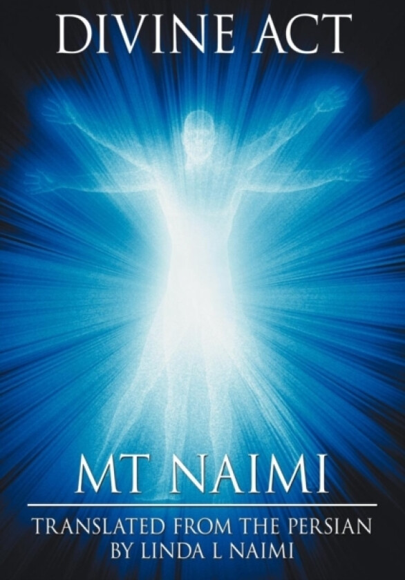 Divine Act av MT Naimi (Paperback)