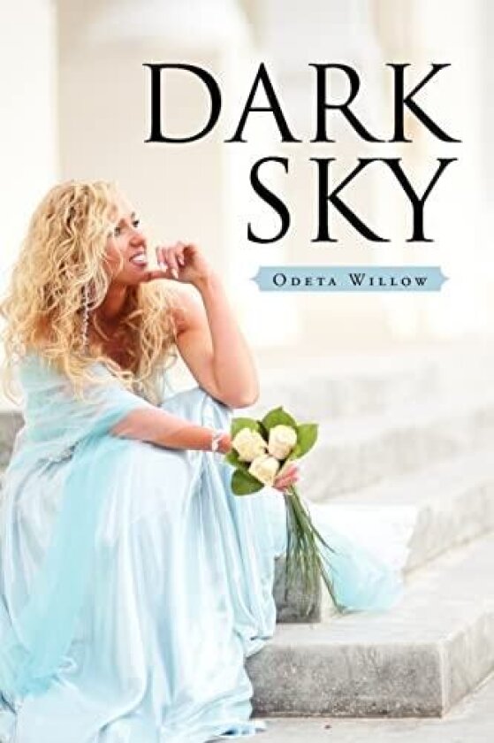 Dark Sky av Odeta Willow (Paperback)