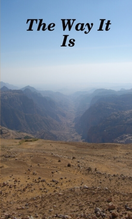 The Way It Is av Neville Mostert (Paperback)