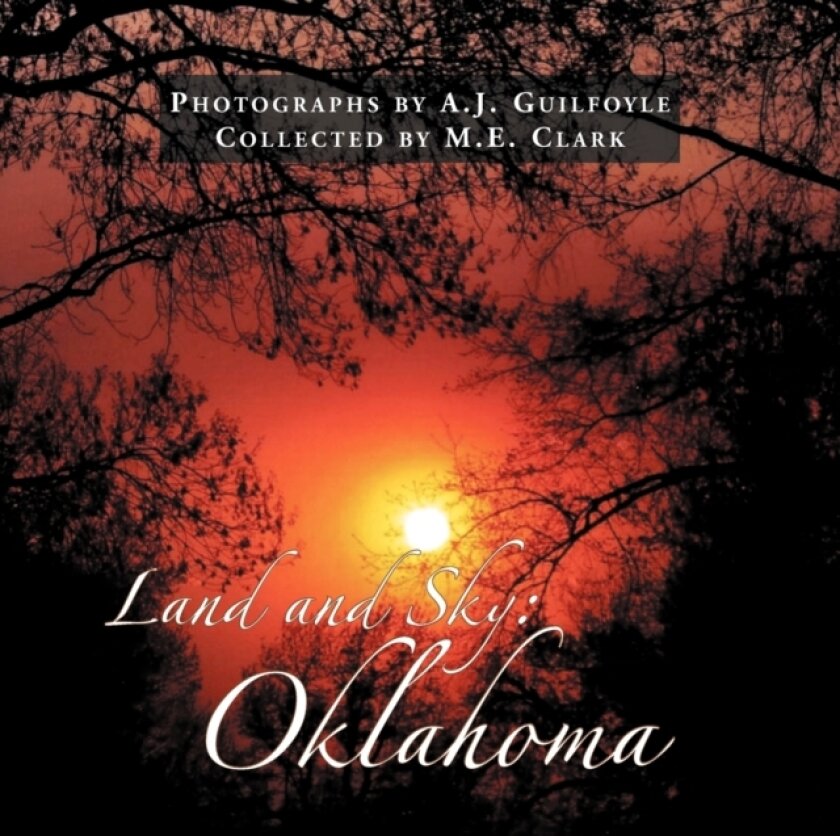 Land and Sky av M E Clark (Paperback)
