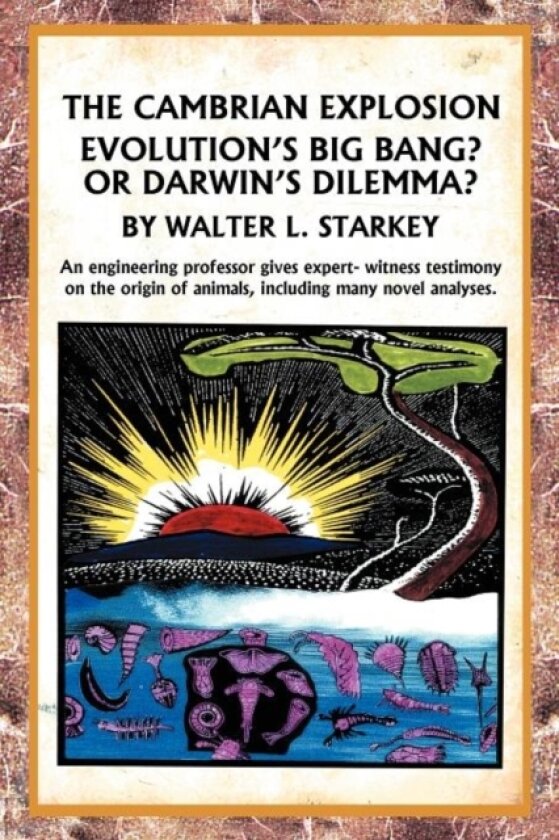 The Cambrian Explosion av Walter Starkey (Paperback)