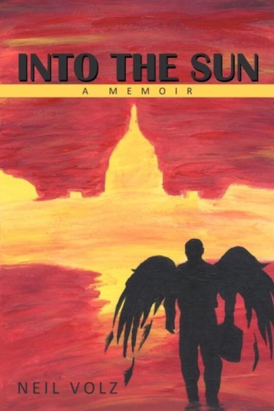 Into the Sun av Neil Volz (Paperback)
