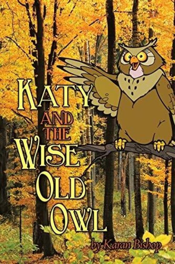 Katy and the Wise Old Owl av Karan Bishop (Paperback)