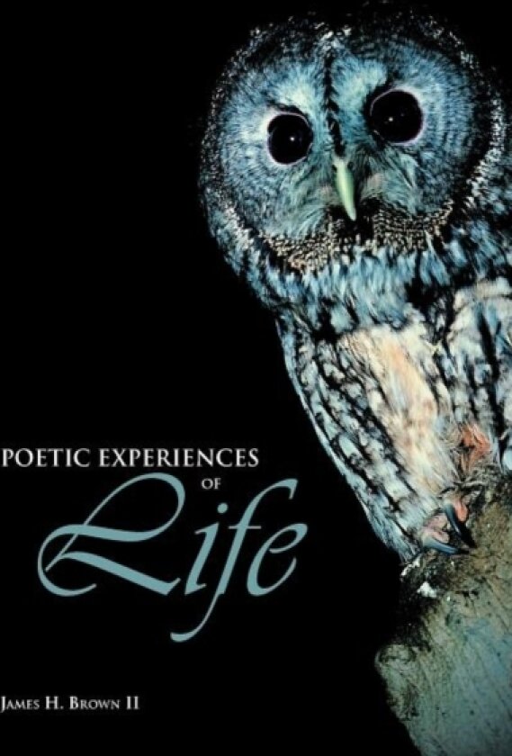Poetic Experiences of Life av James H. Brown II (Paperback)