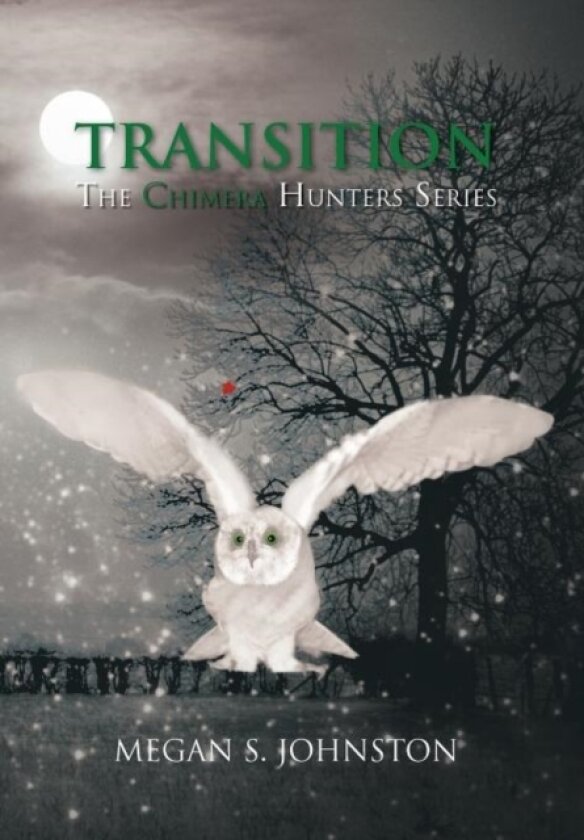 Transition av MEGAN S. JOHNSTON (Hardcover)