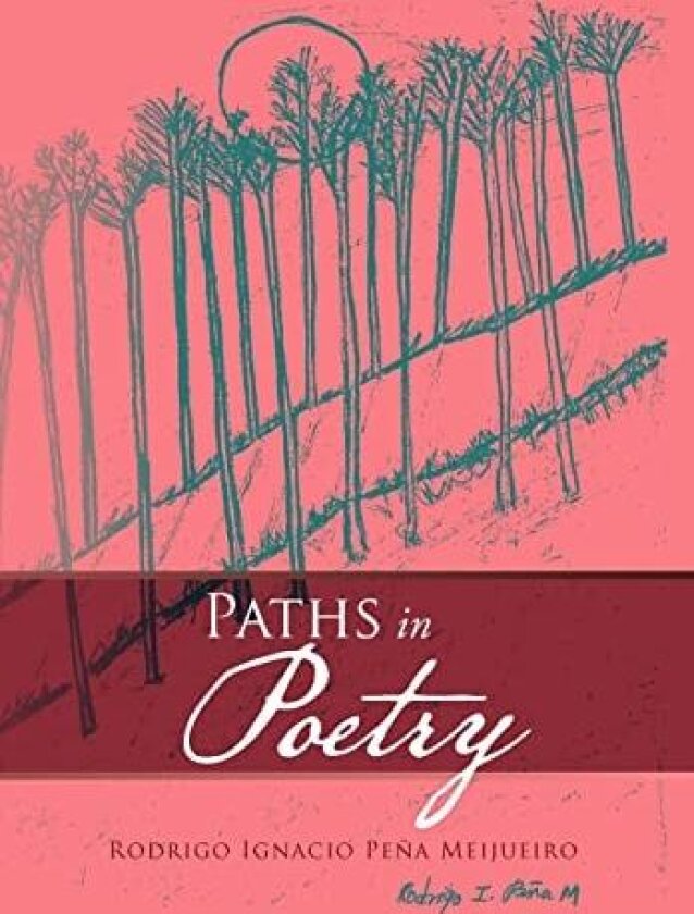 Paths in Poetry av Rodrigo Ignacio Pe Meijueiro (Hardcover)