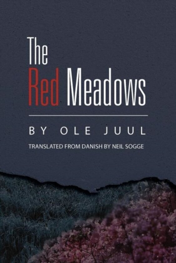 The Red Meadows av Neil Sogge (Paperback)