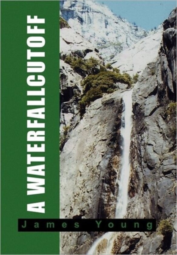 A Waterfallcutoff av Professor James Young (Hardcover)