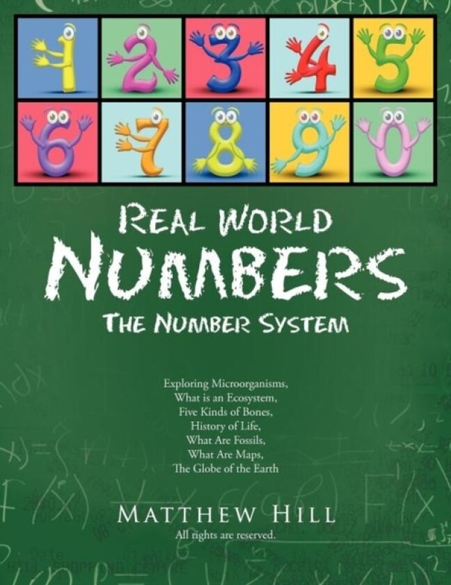 Real World Numbers av Matthew Hill (Paperback)