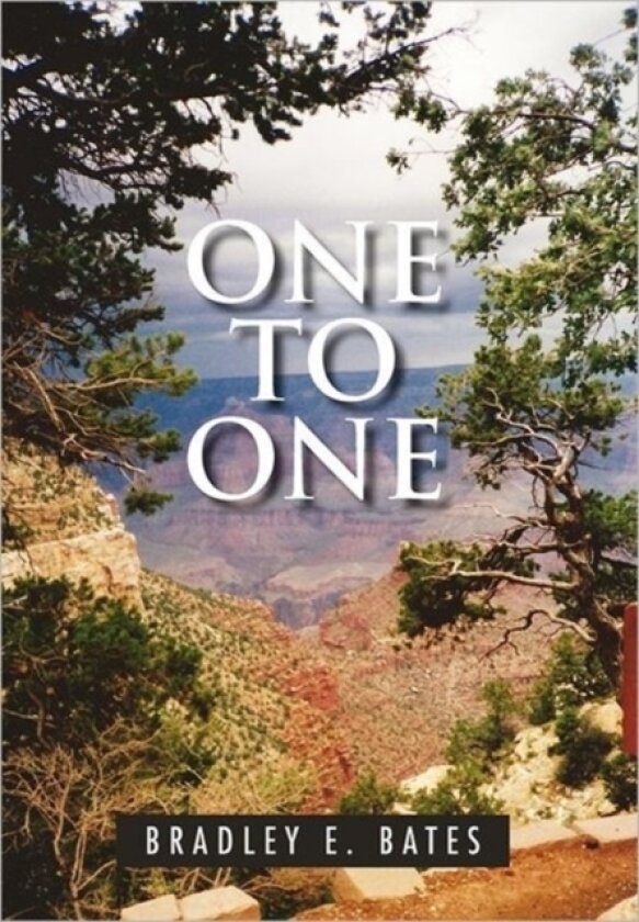 One to One av Bradley E Bates (Paperback)
