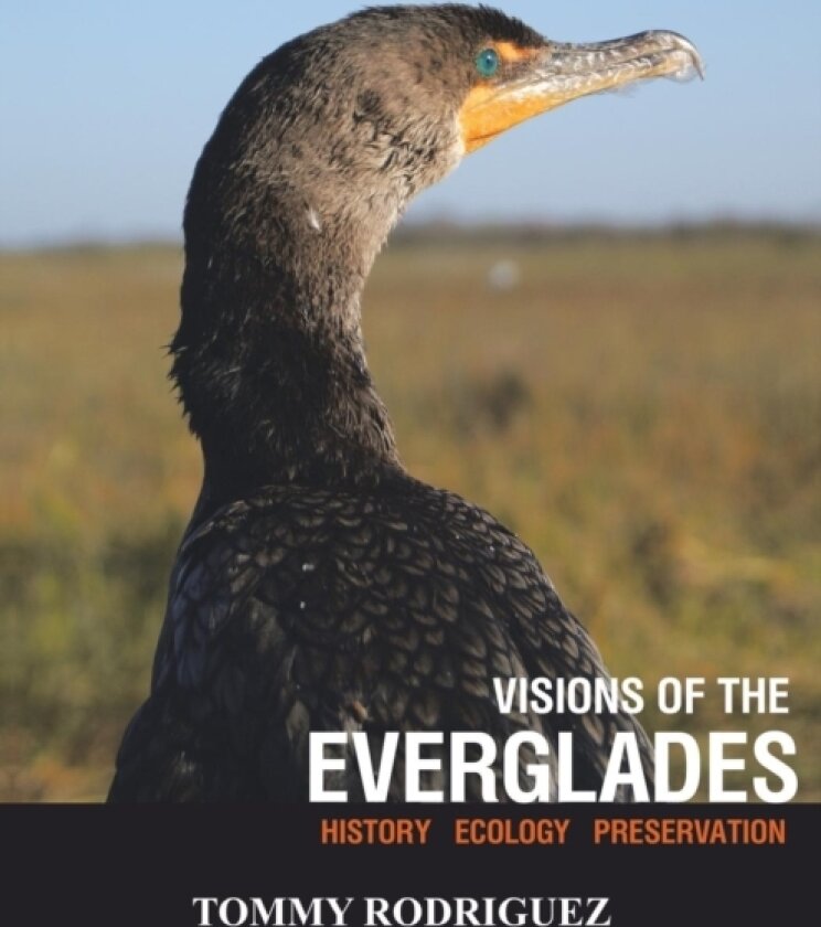 Visions of the Everglades av Tommy Rodriguez (Paperback)