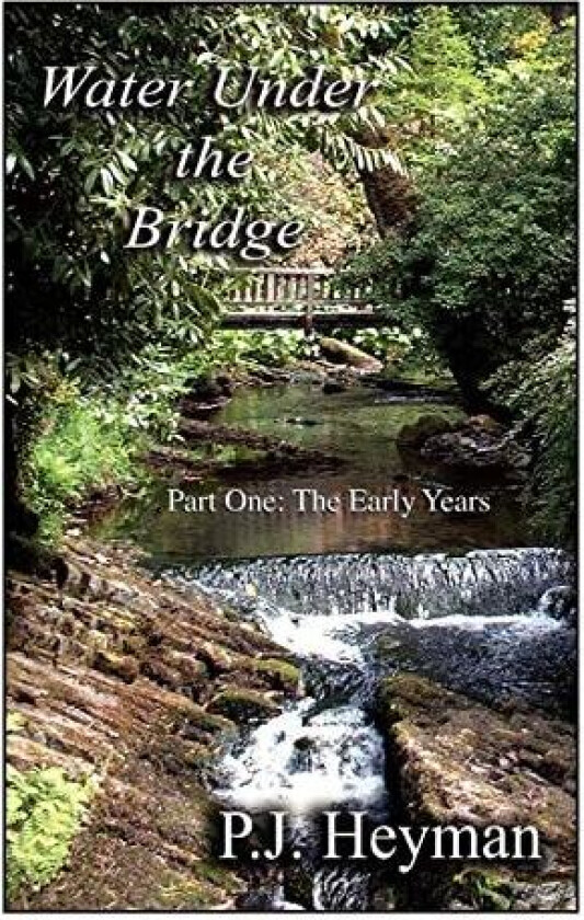 Water Under the Bridge av Pamela Jean Heyman (Paperback)