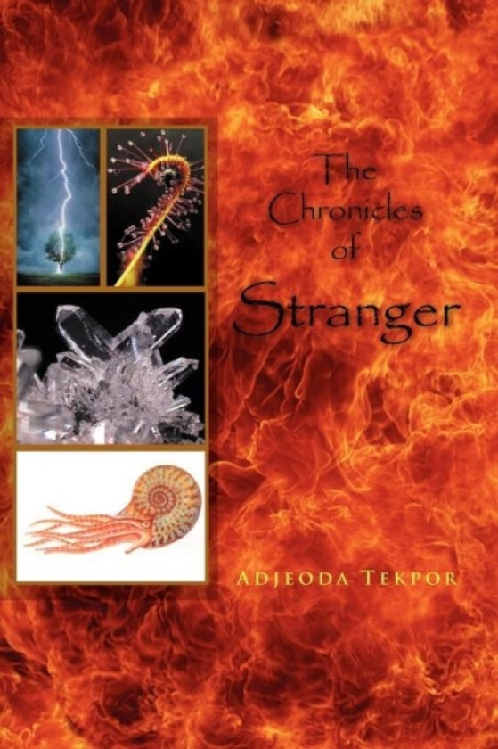 The Chronicles of Stranger av Adjeoda Tekpor (Paperback)