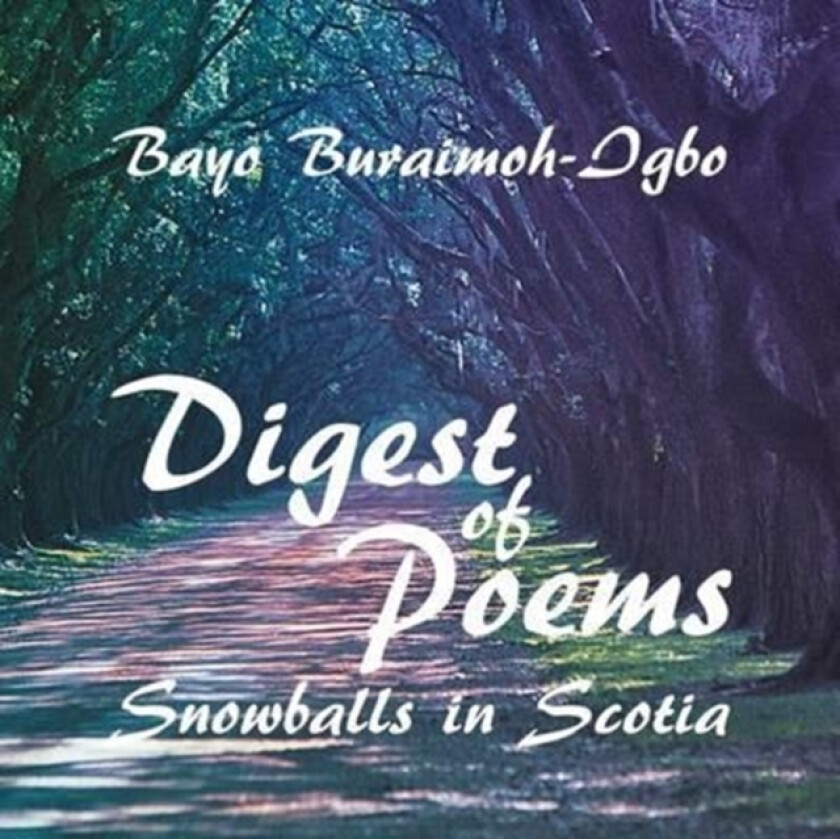 Digest of Poems av Bayo Buraimoh-Igbo (Paperback)