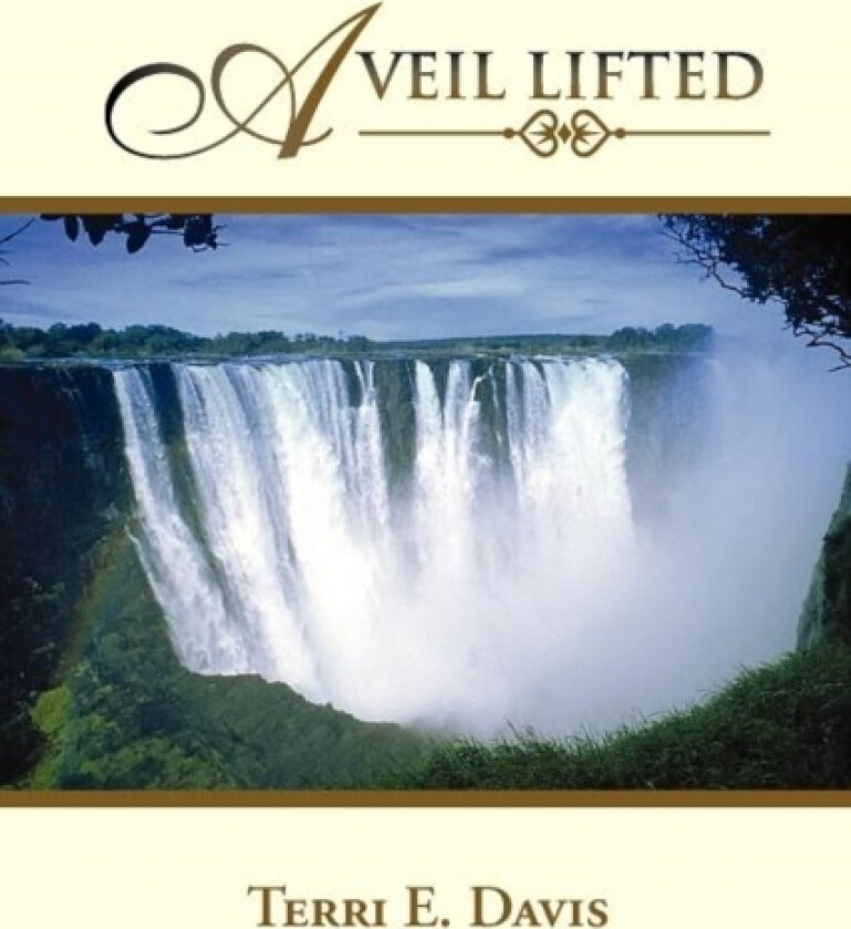 A Veil Lifted av Terri E Davis (Paperback)