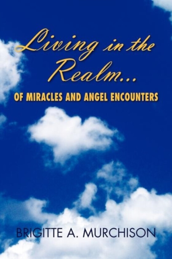 Living in the Realm of Miracles and Angel Encounters av Brigitte A Murchison (Paperback)