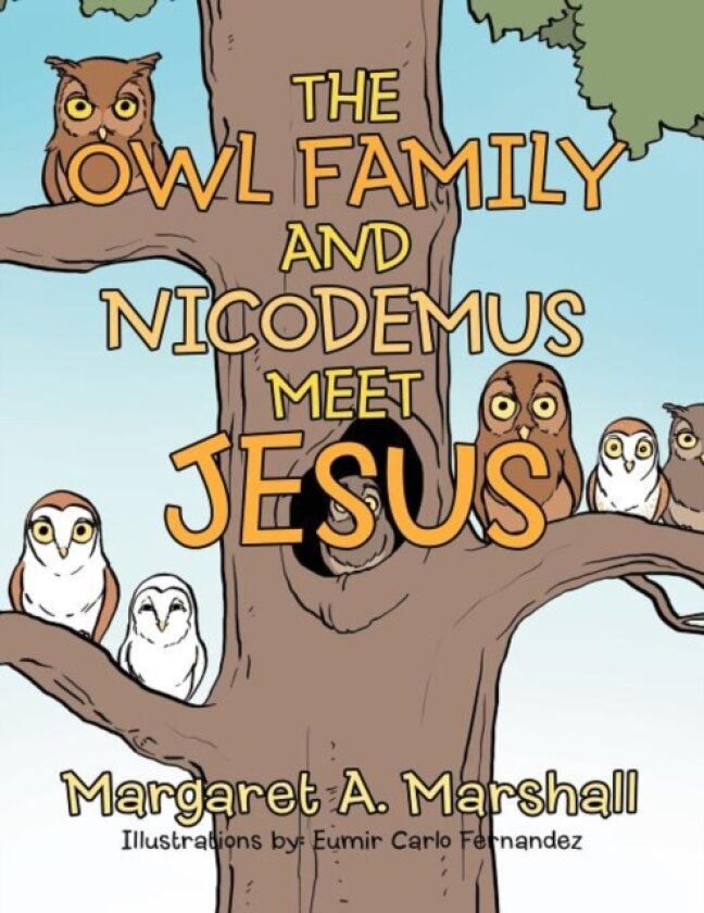 The Owl Family and Nicodemus Meet Jesus av Margaret A Marshall (Paperback)