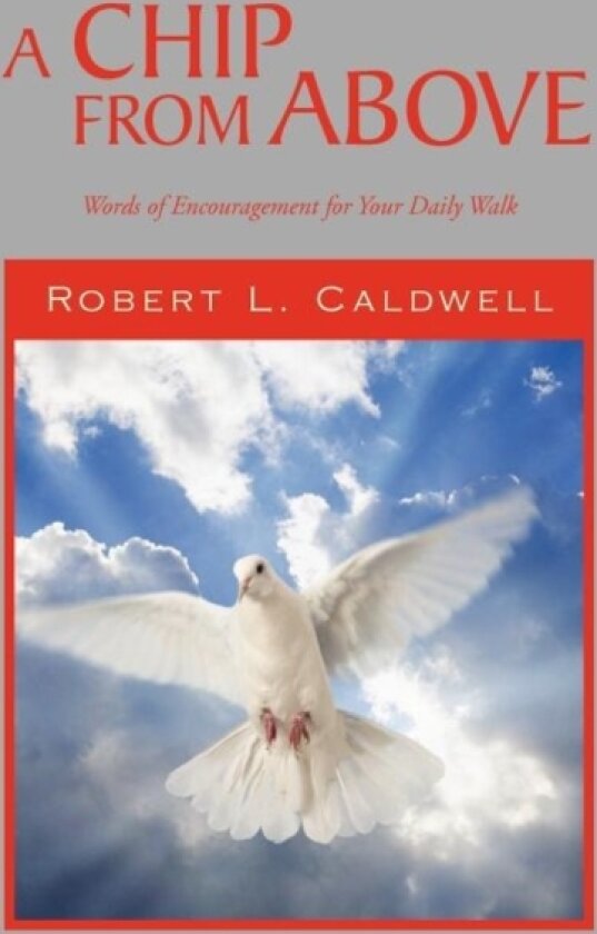 A Chip from Above av Robert L Caldwell (Paperback)
