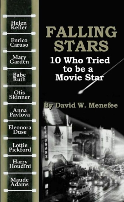 Falling Stars av David W Menefee (Paperback)
