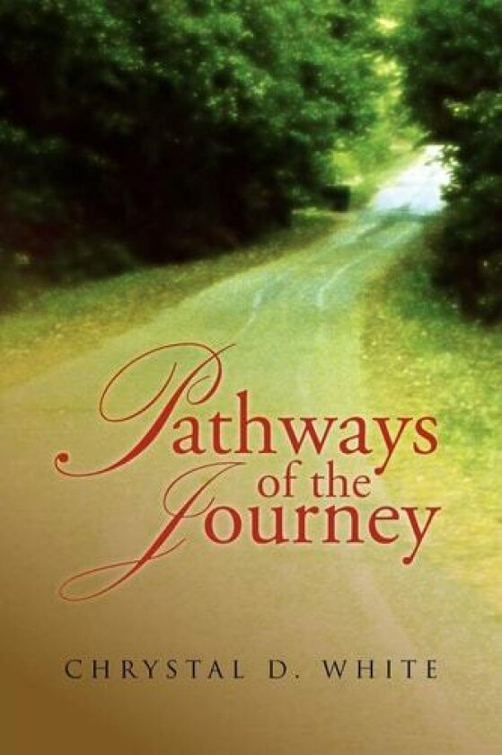 Pathways of the Journey av Chrystal D White (Paperback)