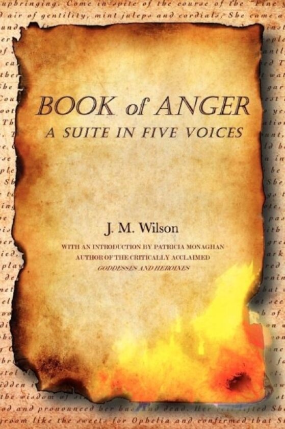 Book of Anger av J M Wilson (Paperback)