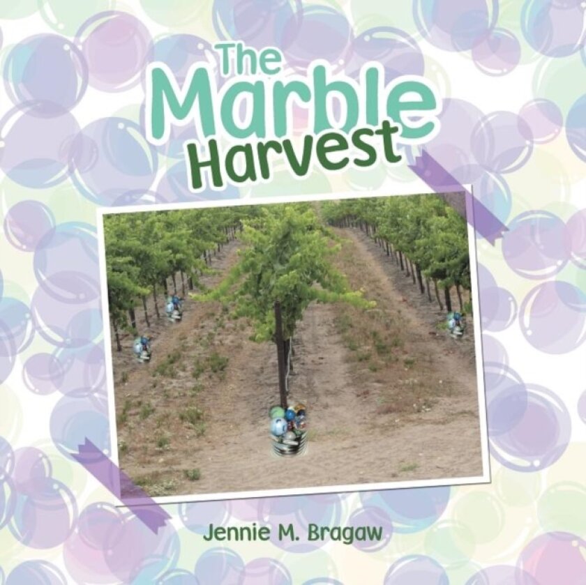 The Marble Harvest av Jennie M Bragaw (Paperback)