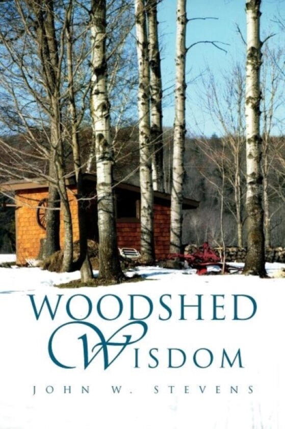 Woodshed Wisdom av John W Stevens (Paperback)