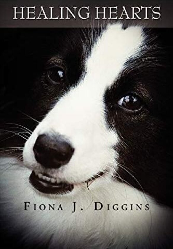 Healing Hearts av Fiona J Diggins (Paperback)