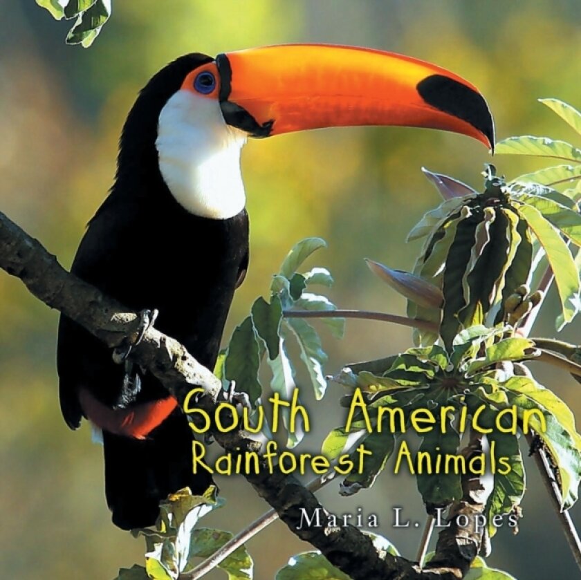 South America Rainforest Animals av Maria L. Lopes (Paperback)