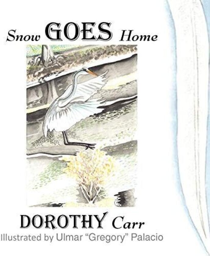 Snow Goes Home av Dorothy Carr (Paperback)
